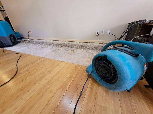 Professional Burst Pipe Water Damage technician working in Lake City, SC